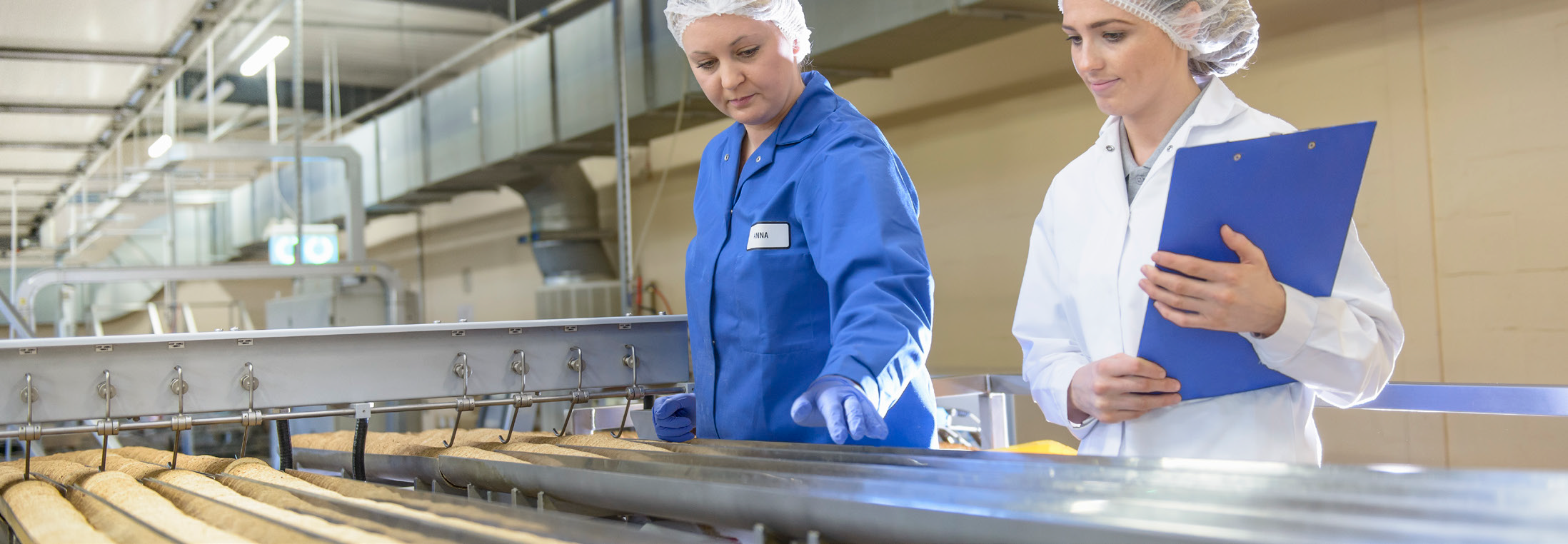 jose.hd1909@gmail.com