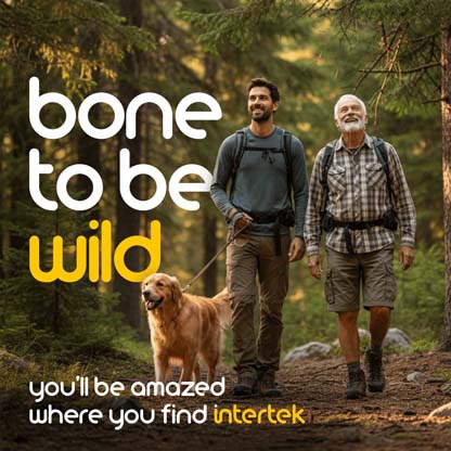 Two men hiking in the forest with a dog