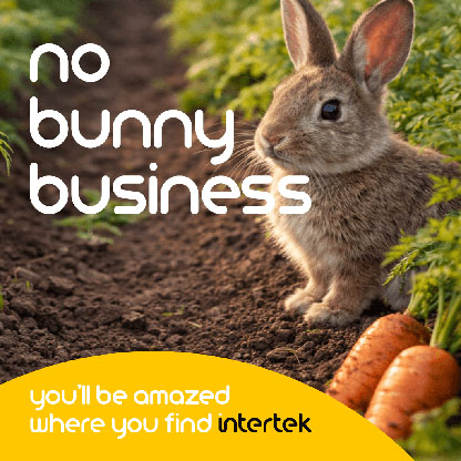 A bunny sitting next to some carrots in a garden